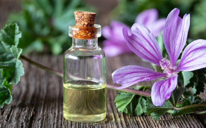 Estratti-liposolubili